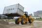 20' container discharger BENE 40ton to 42ton container unloading discharger Railroad Dumper supplier