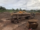 BENE hot sale atv log grap loader with Cummins engine 8ton/10ton/12ton15ton wheel loader with grapples attachments supplier