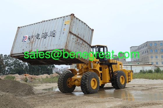 20' container discharger BENE 40ton to 42ton container unloading discharger Railroad Dumper supplier