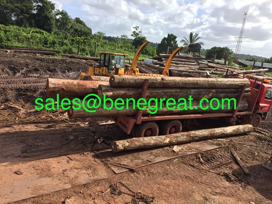 5ton to 25ton atv log graploader with Cumins engine 8ton/10ton/12ton15ton wheel loader with grapples attachments supplier