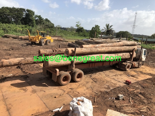 BENE 10 ton load capacity log loader 10ton wheel loader with Cummins engine supplier