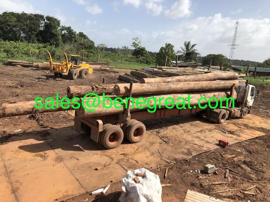 BENE hot sale atv log grap loader with Cumins engine 8ton/10ton/12ton15ton wheel loader with grapples attachments supplier